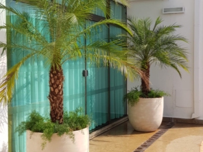 Foto de Semear Paisagismo e Jardins em Botucatu, SP por Solutudo
