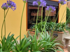 Foto de Semear Paisagismo e Jardins em Botucatu, SP por Solutudo