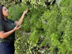 Foto de Semear Paisagismo e Jardins em Botucatu, SP por Solutudo