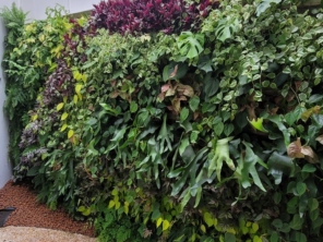 Foto de Semear Paisagismo e Jardins em Botucatu, SP por Solutudo