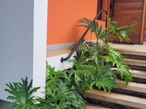 Foto de Semear Paisagismo e Jardins em Botucatu, SP por Solutudo