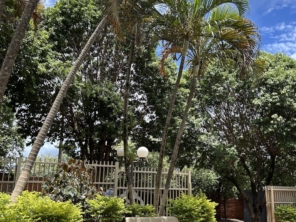 Foto de Velório Terra Brasil de Pederneiras em Pederneiras, SP por Solutudo
