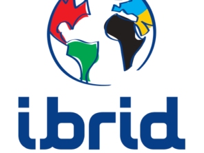Ibrid idiomas