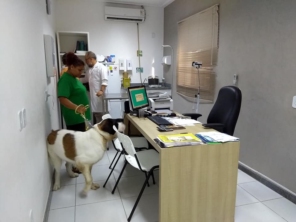 Foto de Petville em Aracaju, SE por Solutudo
