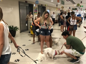 Foto de Petville em Aracaju, SE por Solutudo