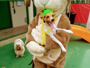 Foto galeria da empresa