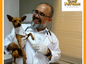 Foto de Petville em Aracaju, SE por Solutudo