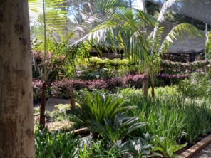 Foto de Viveiro Recanto da Liberdade CEASA em Bauru, SP por Solutudo
