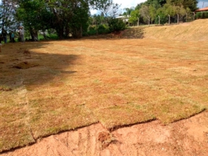 Foto de 3 Verde Jardinagem em Botucatu, SP por Solutudo