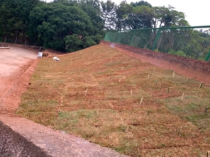 Foto de 3 Verde Jardinagem em Botucatu, SP por Solutudo