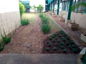 Foto de 3 Verde Jardinagem em Botucatu, SP por Solutudo