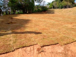 Foto de 3 Verde Jardinagem em Botucatu, SP por Solutudo