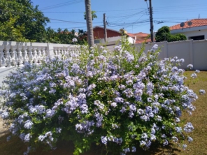 Foto de 3 Verde Jardinagem em Botucatu, SP por Solutudo