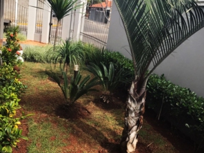 Foto de Jardinagem Rodrigues em Botucatu, SP por Solutudo