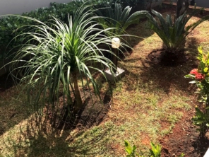 Foto de Jardinagem Rodrigues em Botucatu, SP por Solutudo