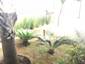 Foto de Jardinagem Rodrigues em Botucatu, SP por Solutudo