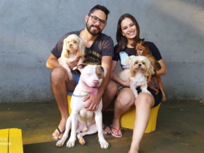 Foto de Soul Pet - Hotel para Cão, Creche e Estética Animal em Foz do Iguaçu, PR por Solutudo