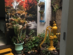 Foto de Edson Kurtz Centro de Terapias em Foz do Iguaçu, PR por Solutudo