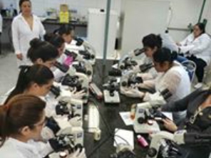 Foto de Atom Multi Cursos em Tietê, SP por Solutudo