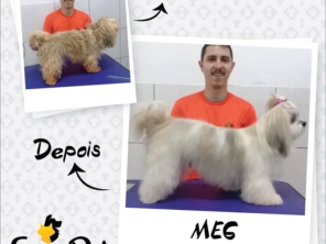 Foto de EuroPet Petshop em Foz do Iguaçu, PR por Solutudo