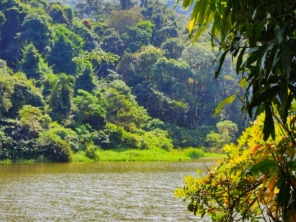 Foto de Casa Andrade em Santa Cruz do Rio Pardo, SP por Solutudo