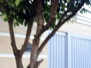 Foto de Braz Serviços Gerais em Barra Bonita, SP por Solutudo