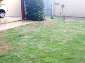 Foto de Braz Serviços Gerais em Barra Bonita, SP por Solutudo