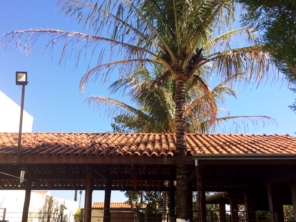 Foto de Braz Serviços Gerais em Barra Bonita, SP por Solutudo