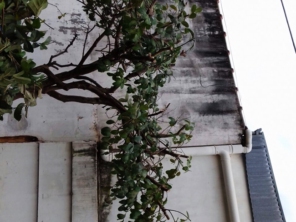 Foto de Braz Serviços Gerais em Barra Bonita, SP por Solutudo