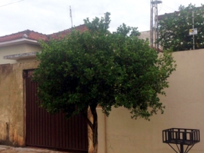 Foto de Braz Serviços Gerais em Barra Bonita, SP por Solutudo