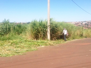 Foto de Braz Serviços Gerais em Barra Bonita, SP por Solutudo