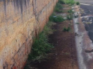 Foto de Braz Serviços Gerais em Barra Bonita, SP por Solutudo