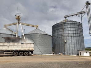 Foto de Picinin Alimentos em Santa Cruz do Rio Pardo, SP por Solutudo