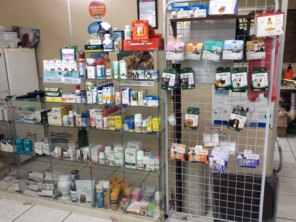 Foto galeria da empresa