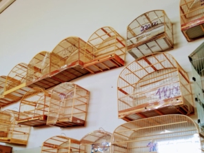 Foto de Agropecuária São Francisco de Assis em Cerquilho, SP por Solutudo
