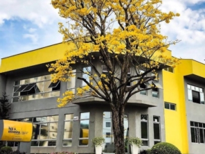 Foto de Luz & Oliveira Contadores em Joinville, SC por Solutudo