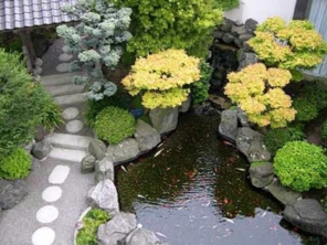 Foto de Florescer Jardins em Botucatu, SP por Solutudo