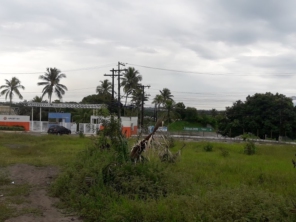 Foto de APCEF BA em Abrantes, BA por Solutudo