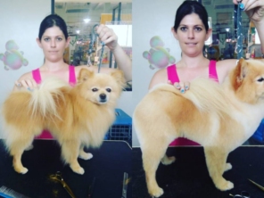 Foto de Banho e Tosa Entre Patas e Pelos em Santa Cruz do Rio Pardo, SP por Solutudo