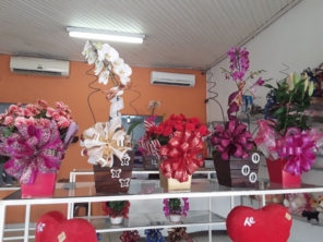 Foto de Cia das Flores em Araçatuba, SP por Solutudo