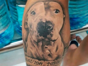 Foto de Wellington Moreno Tattoo Clinic Art em Caraguatatuba, SP por Solutudo