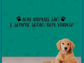 Foto de RealVet Veterinária em Cerquilho, SP por Solutudo