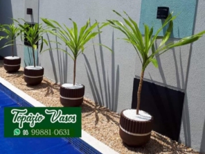 Foto de Topázio Vasos em Bauru, SP por Solutudo