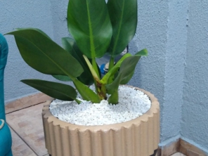 Foto de Topázio Vasos em Bauru, SP por Solutudo