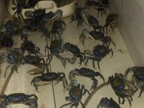Foto de Recanto 15 - Bar e Restaurante do Nelsinho em Aracaju, SE por Solutudo