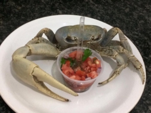 Foto de Recanto 15 - Bar e Restaurante do Nelsinho em Aracaju, SE por Solutudo