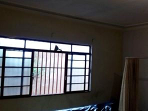 Foto de Impacto Pinturas em Jaú, SP por Solutudo