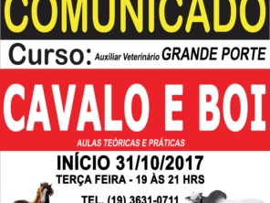 Curso Auxiliar de veterinário de GRANDE PORTE