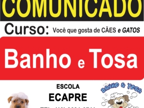 Curso de Banho e Tosa
