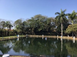Foto de Pesque e Pague Kipeixe em Foz do Iguaçu, PR por Solutudo